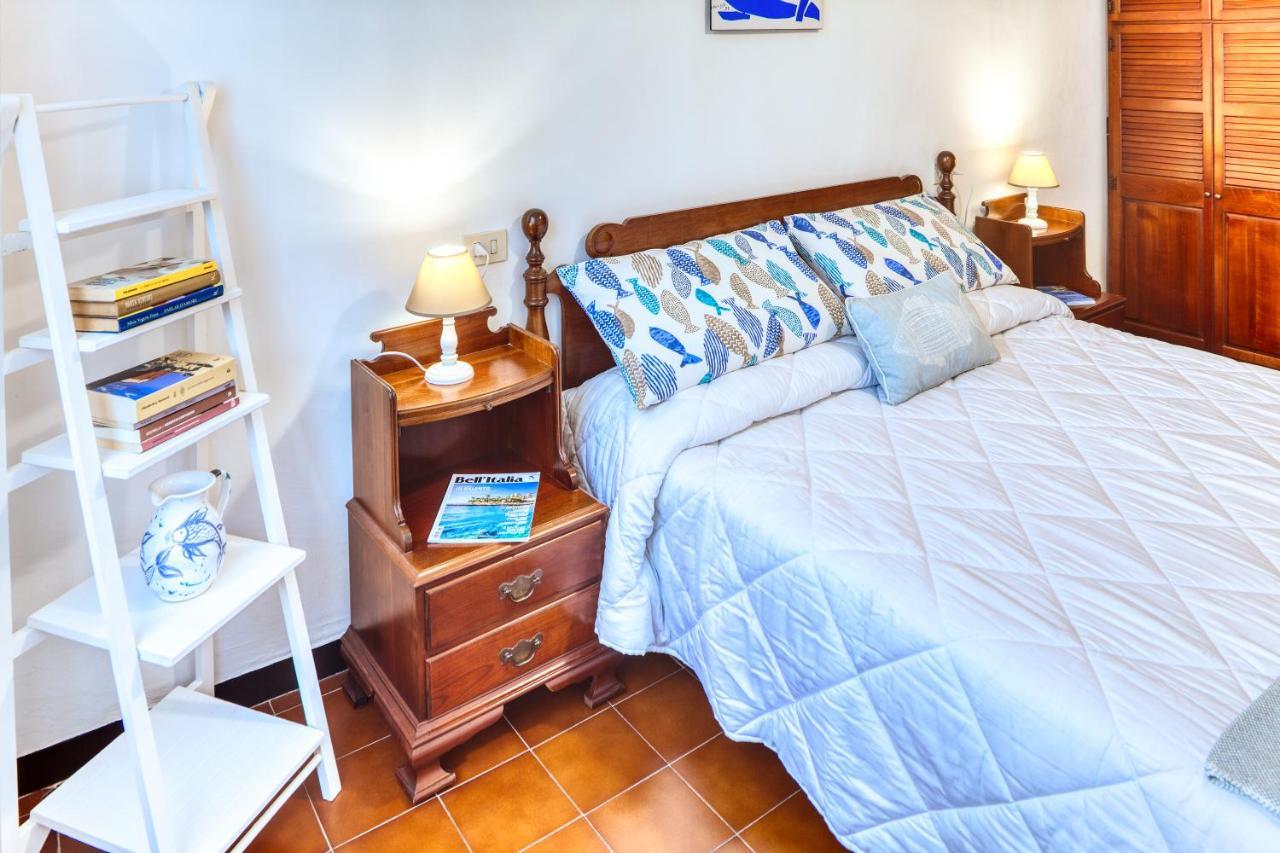 Apartment Livia